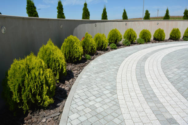 Best Concrete Paver Driveway  in Gholson, TX